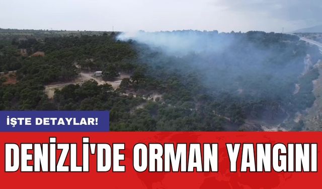 Denizli'de orman yangını