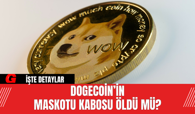 Dogecoin’in Maskotu Kabosu Öldü Mü? Kabosu’nun Mirası Ne Olacak?