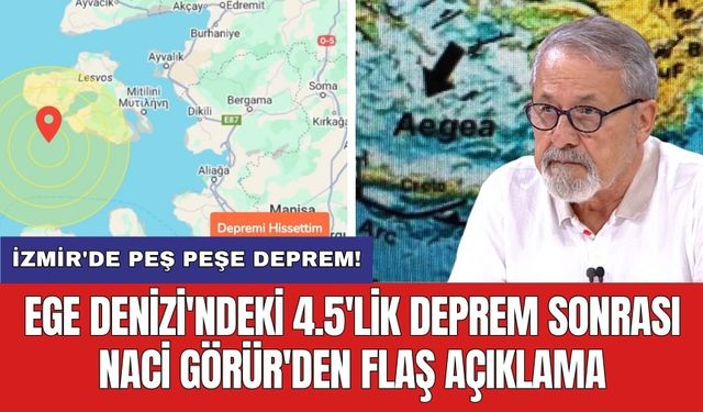 Ege Denizi'ndeki 4.5'lik deprem sonrası Naci Görür'den flaş açıklama