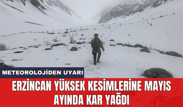 Erzincan yüksek kesimlerine mayıs ayında kar yağdı