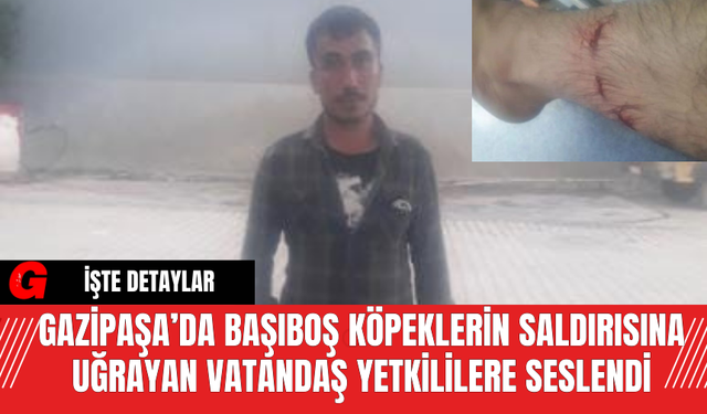 Gazipaşa’da Başıboş Köpeklerin Saldırısına Uğrayan Vatandaş Yetkililere Seslendi