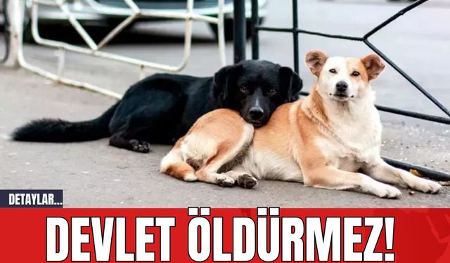 Devlet öldürmez!