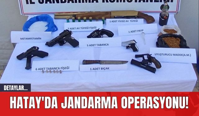 Hatay'da Jandarma Operasyonu!