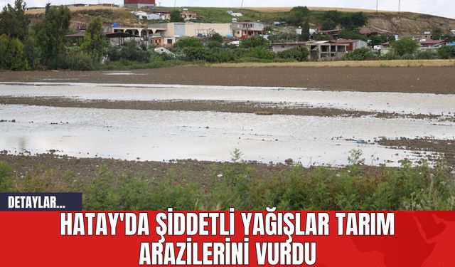 Hatay'da Şiddetli Yağışlar Tarım Arazilerini Vurdu