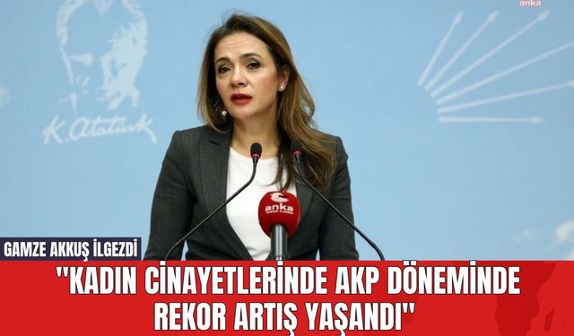 Gamze Akkuş İlgezdi: "Kadın Cinayetlerinde AKP Döneminde Rekor Artış Yaşandı"