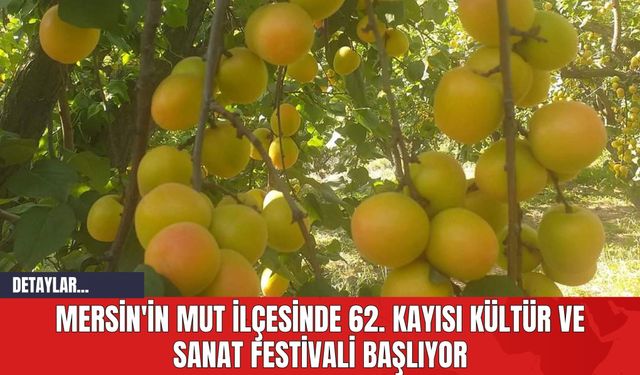Mersin'in Mut İlçesinde 62. Kayısı Kültür ve Sanat Festivali Başlıyor