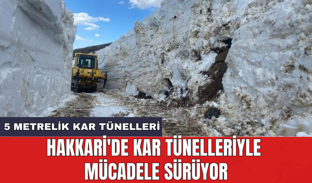 Hakkari'de kar tünelleriyle mücadele sürüyor