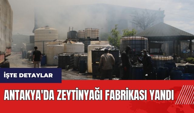 Hatay Antakya'da zeytinyağı fabrikası yandı