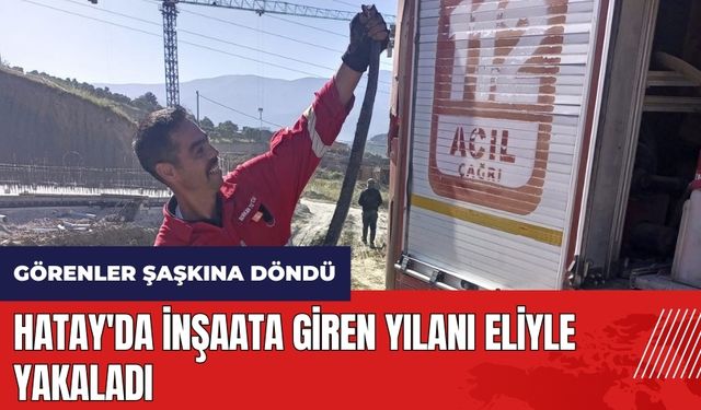 Hatay'da inşaata giren yılanı eliyle yakaladı