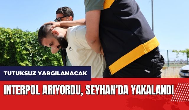 Kırmızı bültenle aranan İsmail Abdo Seyhan'da yakalandı