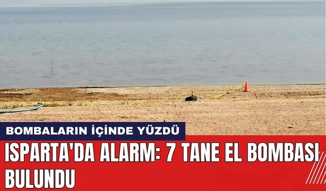 Isparta'da alarm: 7 tane el bombası bulundu