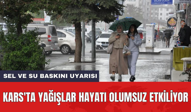 Kars'ta yağışlar hayatı olumsuz etkiliyor