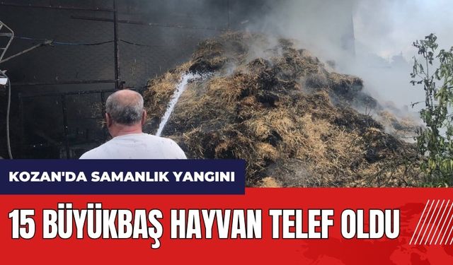 Adana Kozan'da samanlık yangını! 15 büyükbaş hayvan telef oldu