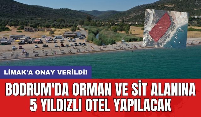 Limak'a onay verildi! Bodrum'da orman ve sit alanına 5 yıldızlı otel yapılacak