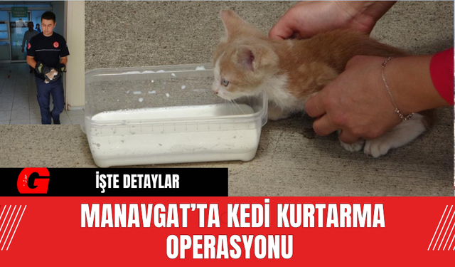 Manavgat’ta Kedi Kurtarma Operasyonu