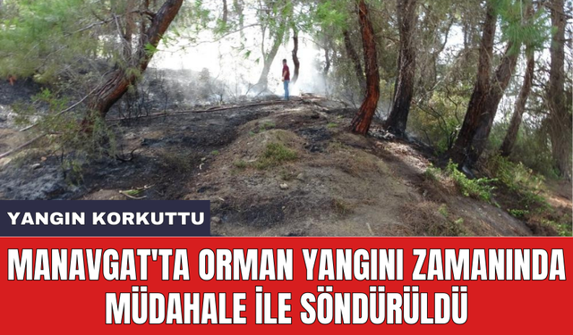 Manavgat'ta orman yangını zamanında müdahale ile söndürüldü