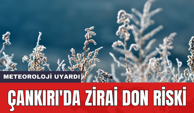 Meteoroloji uyardı: Çankırı'da zirai don riski