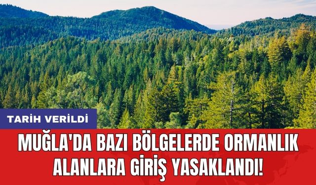 Muğla'da bazı bölgelerde ormanlık alanlara giriş yasaklandı! Tarih verildi