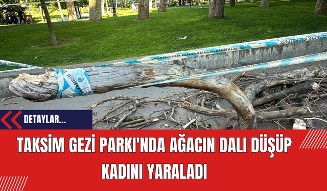 Taksim Gezi Parkı'nda Ağacın Dalı Düşüp Kadını Yaraladı