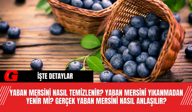 Yaban Mersini nasıl temizlenir? Yaban mersini yıkanmadan yenir mi? gerçek  yaban mersini nasıl anlaşılır?