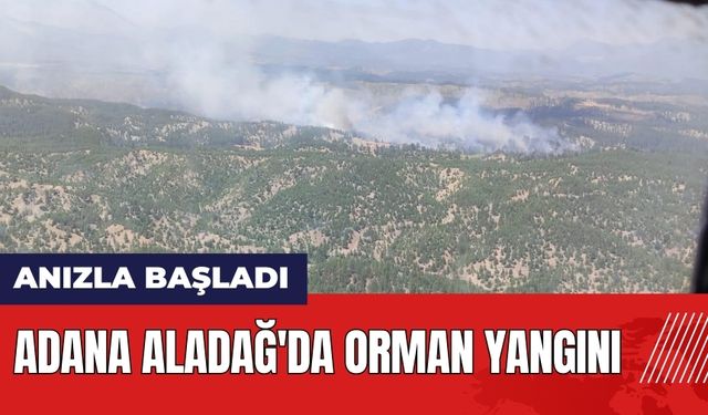 Adana Aladağ'da orman yangını!