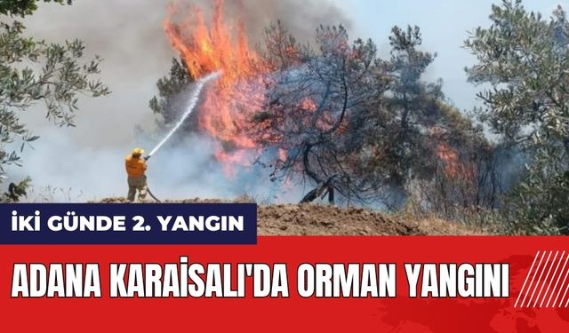 Adana Karaisalı'da orman yangını