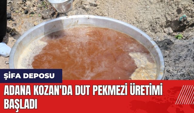 Adana Kozan'da dut pekmezi üretimi başladı