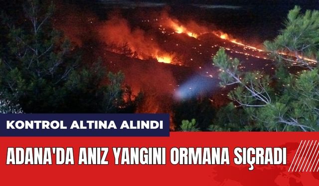 Adana'da anız yangını ormana sıçradı