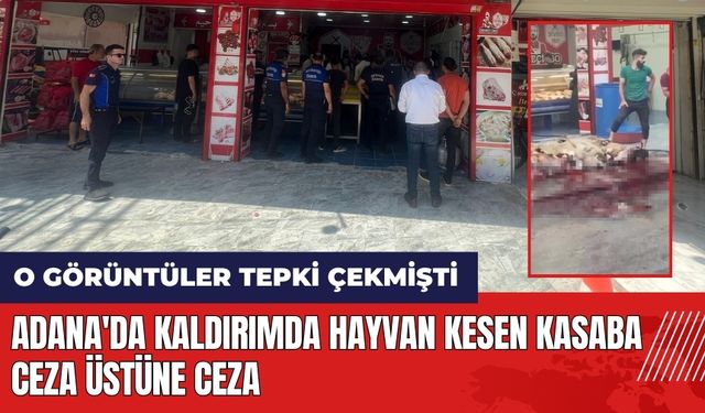 Adana'da kaldırımda hayvan kesen kasaba ceza üstüne ceza