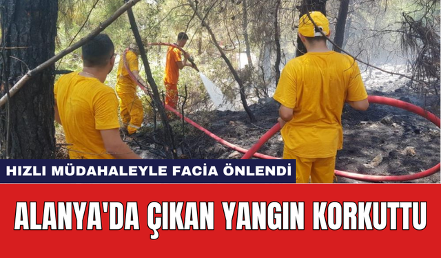 Alanya'da çıkan yangın korkuttu: Hızlı müdahaleyle facia önlendi