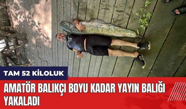 Amatör balıkçı boyu kadar yayın balığı yakaladı