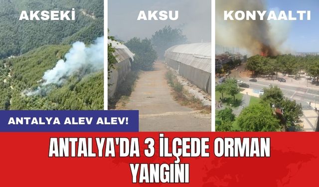 Antalya alev alev! Antalya'da 3 ilçede orman yangını!