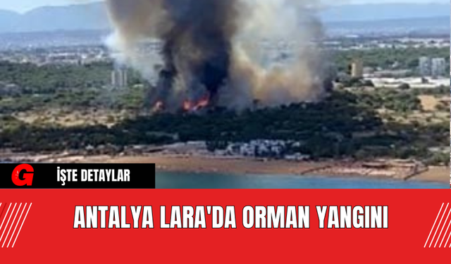 Antalya Lara'da Orman Yangını