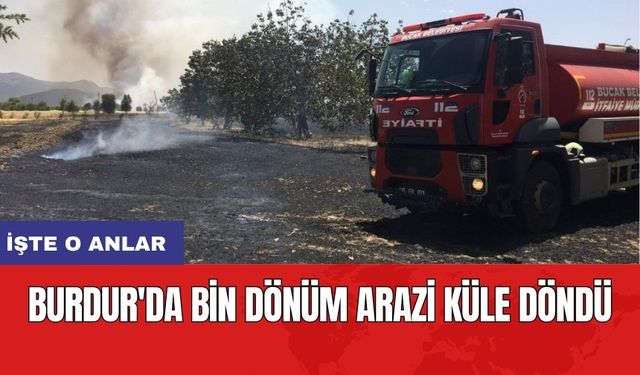 Burdur'da bin dönüm arazi küle döndü