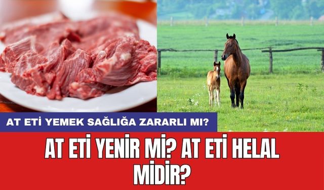 At eti haram mı? At eti helal midir?