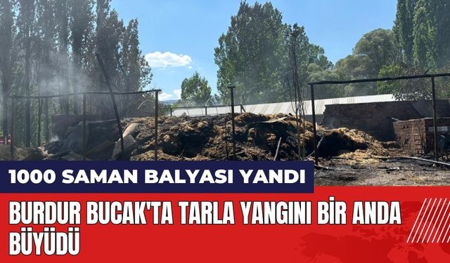 Burdur Bucak'ta tarla yangını bin saman balyasını kül etti