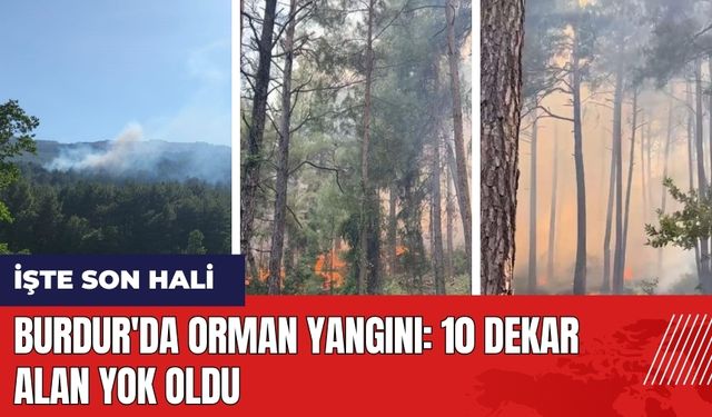 Burdur'da orman yangını! 10 dekar alan yok oldu