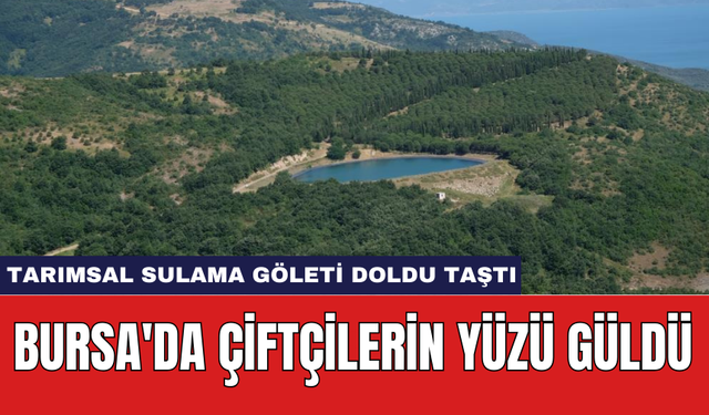 Bursa'da çiftçilerin yüzü güldü