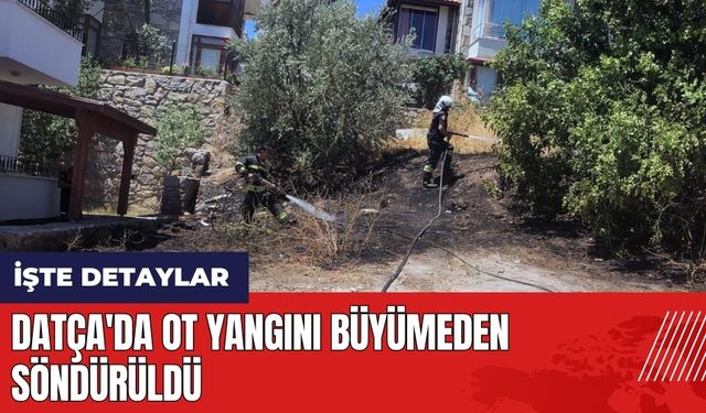 Datça'da ot yangını büyümeden söndürüldü