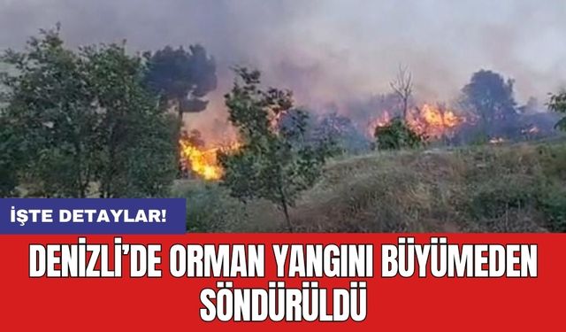 Denizli’de orman yangını büyümeden söndürüldü