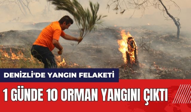 Denizli'de yangın felaketi! 1 günde 10 orman yangını çıktı