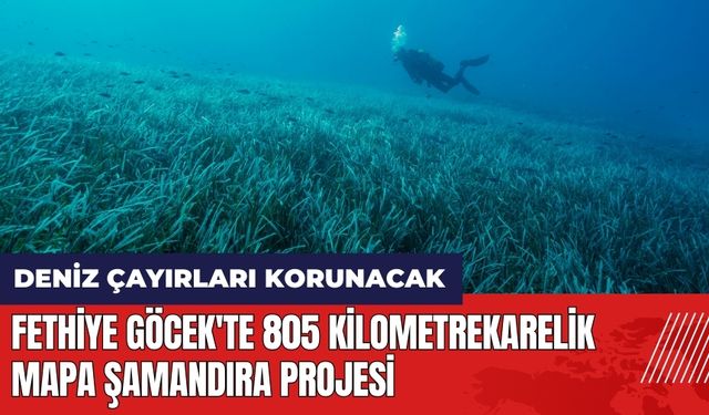 Fethiye Göcek'te 805 kilometrekarelik Mapa Şamandıra Projesi