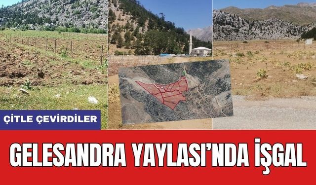 Gelesandra Yaylası'nda Çitli İşgal! Bölgede Tepkiler Büyüyor