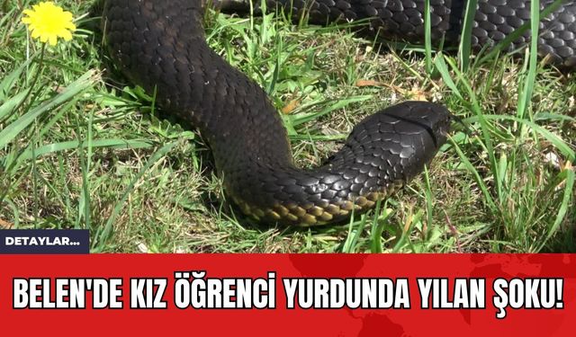 Belen'de Kız Öğrenci Yurdunda Yılan Şoku!