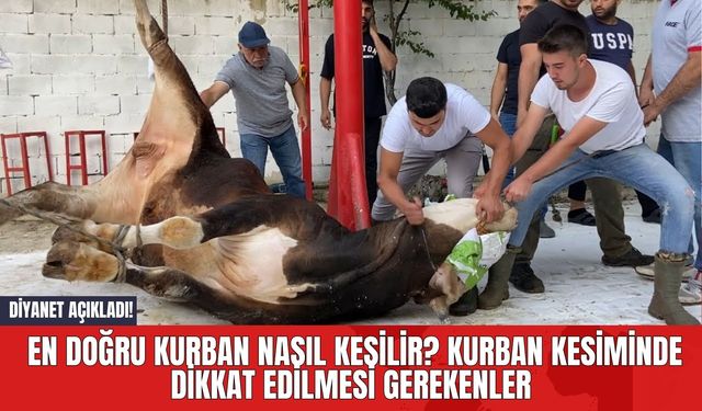 Diyanet Açıkladı! En Doğru Kurban Nasıl Kesilir? Kurban Kesiminde Dikkat Edilmesi Gerekenler