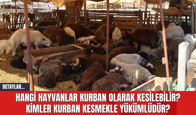 Hangi Hayvanlar Kurban Olarak Kesilebilir? Kimler Kurban Kesmekle Yükümlüdür?