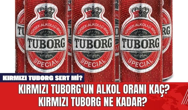 Kırmızı Tuborg'un Alkol Oranı Kaç? Kırmızı Tuborg Ne Kadar? Kırmızı Tuborg Sert mi?