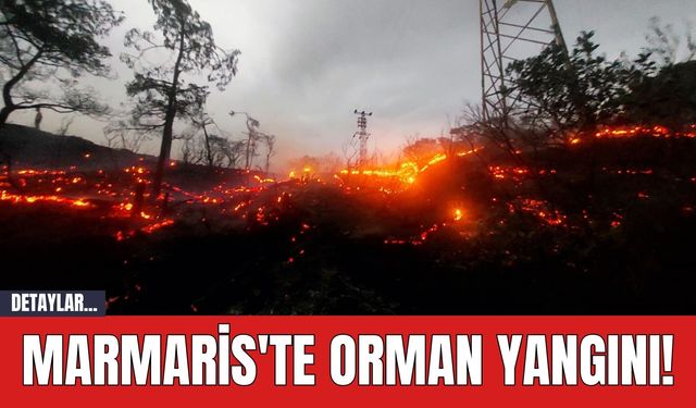 Marmaris'te Orman Yangını!