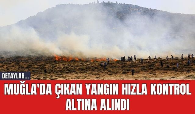 Muğla'da Çıkan Yangın Hızla Kontrol Altına Alındı