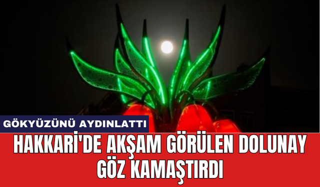 Hakkari'de akşam görülen dolunay göz kamaştırdı